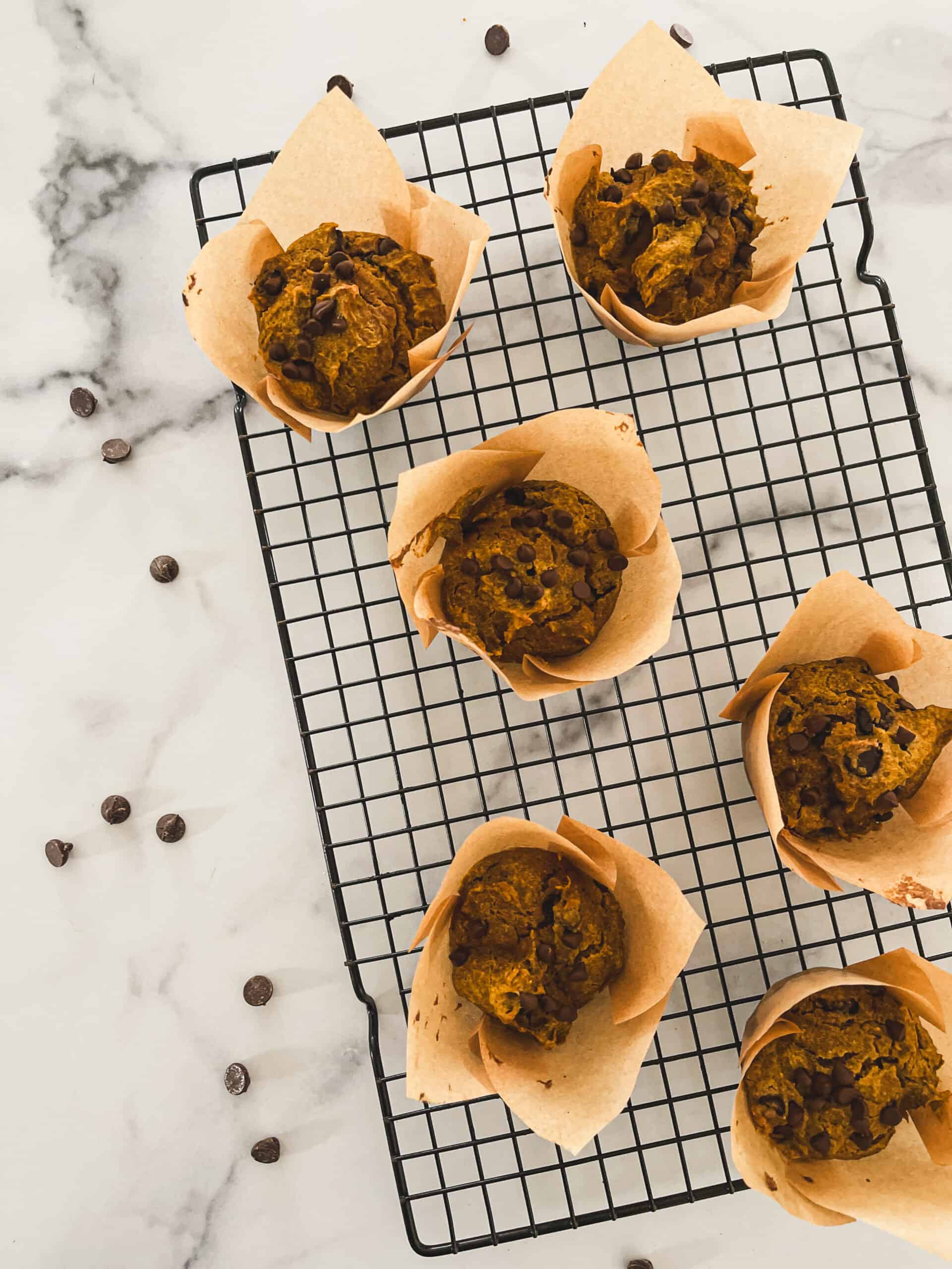 Healthy gluten-free pumpkin chocolate chip muffins.