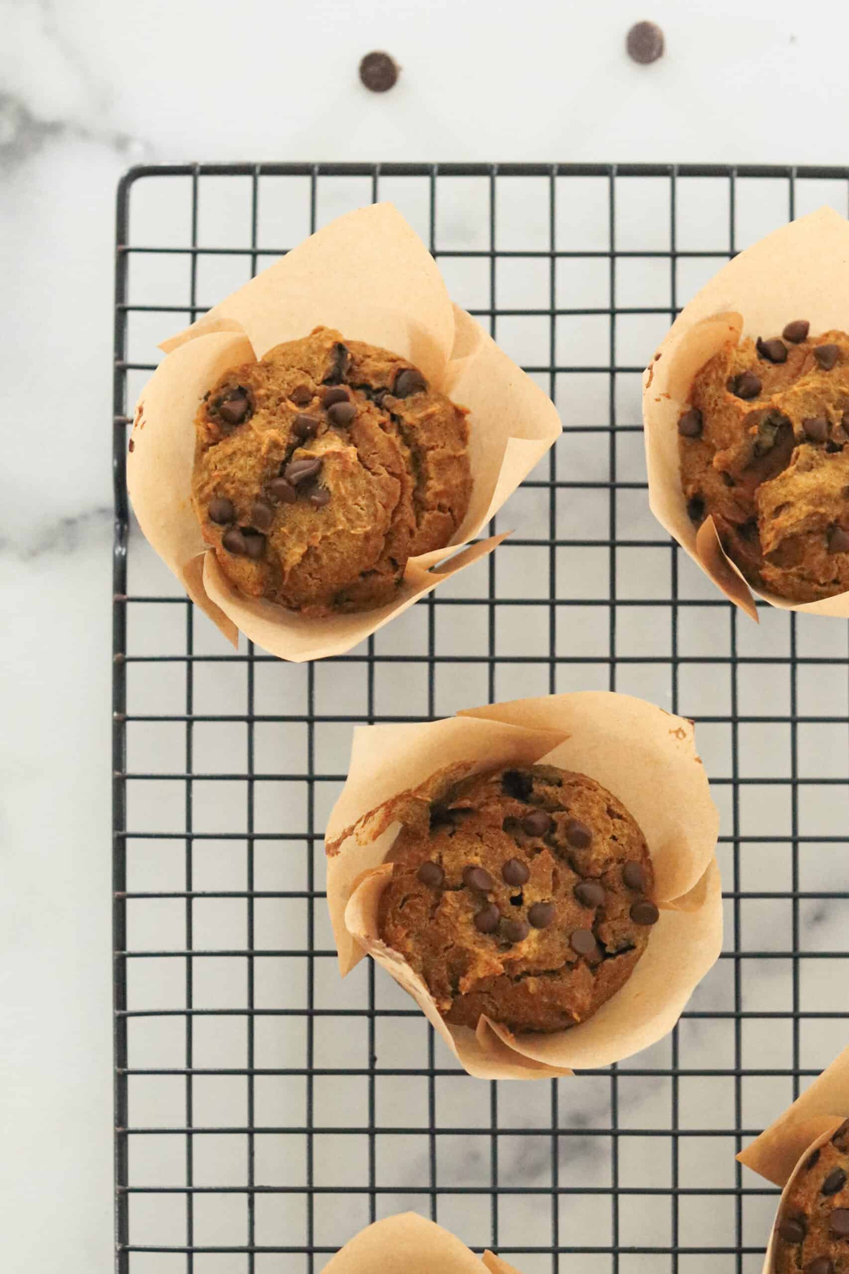 gluten free pumpkin chocolate chip muffin out of the oven. 